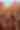 Homepage Header Image