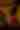 Happy Hour at Hacienda de Mesilla Restaurant