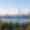 Toronto Skyline