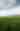 Field full of rows of green crops with mountains and clouds in background