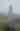 Piedras Blancas Light Station