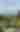 Views from Leith Hill