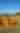 Corn Maze at Burden