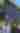Neighborhood Walk: 1776|2026