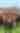 Watson Farm Walking Tours