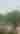 Kerrville Flood