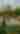 yoga at klyde warren park