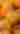 A scene of pumpkins.