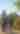 two people biking in Havenwoods State Park