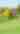 Nemacolin Country Club