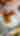 DTN - House Ads - HI - Restaurants