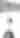 Winter - UGC - Dogsledding - @danigoesdopey