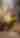 Carlsbad Caverns Reveal More of Their Secrets
