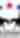 2025 National & Youth World Appaloosa Horse Show
