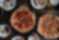 Federalist Pizza