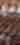 Hazel Hill Chocolate