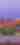 yuma palms