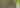 Blue-gray Gnat catcher