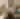 man sits at a desk in an office, with his back to the camera