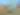 BeyondtheBloomBirdingFestival7.jpg