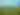Tallgrass Prairie
