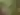 couple hiking through trees and red sandstone rock