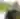 jonathan_adams-ksm
