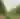 Bobwhite Vines LLC