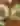 taco-festival.png