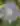 Botanical Belonging at Happy Apple’s Farm