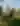 Isinglass Vineyard & Winery/Sunnye Ridge Farm, Inc.