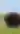 Tallgrass Prairie National Preserve