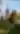 Isinglass Vineyard & Winery/Sunnye Ridge Farm, Inc.