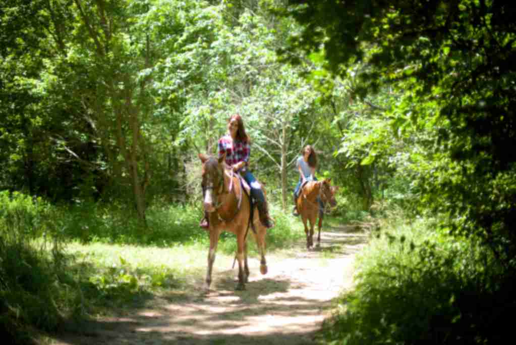 Horse Back Riding at Natural Valley Ranch
