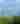 denver-skyline-trees-snowcapped-mountains