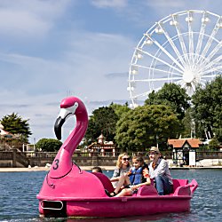A family of two adults and two children on a pink swan boat on a marine lake in southport. There is a large ferris wheel in the background.