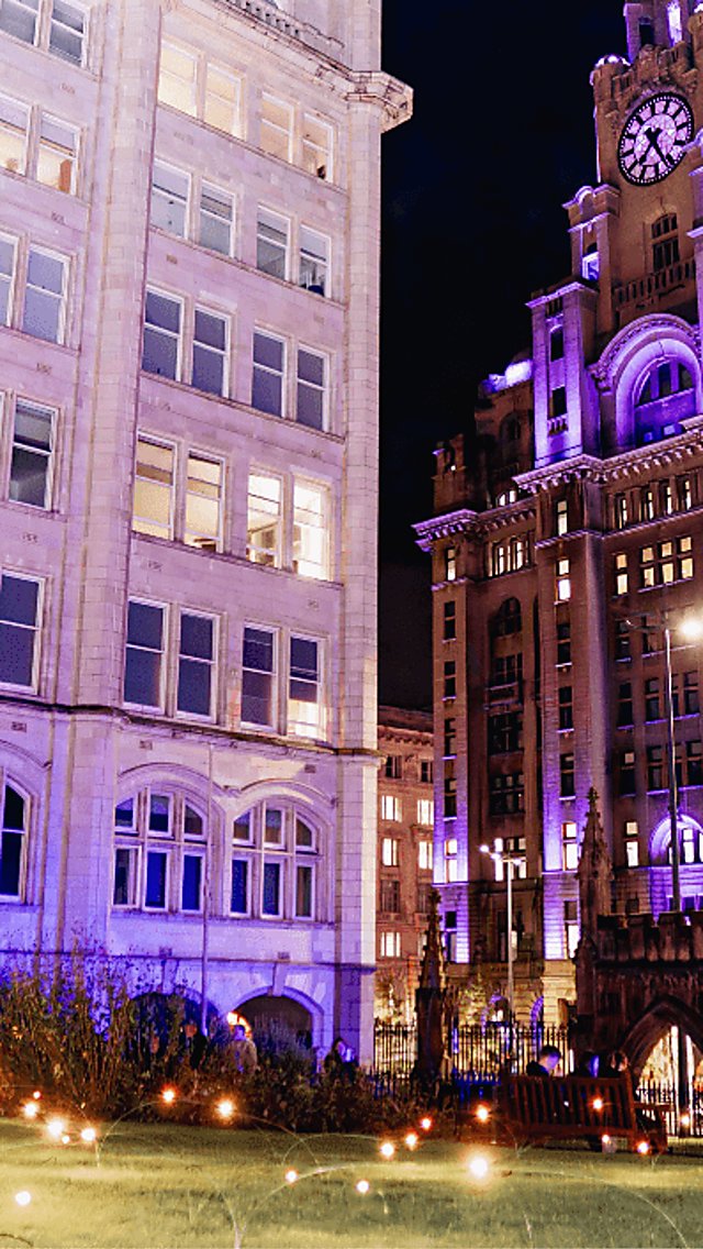 Small fireflies on the grass with the Liver Building in the background.