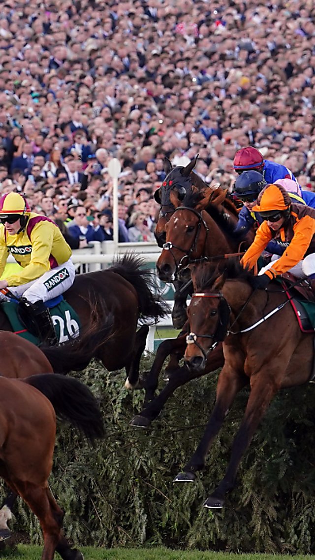 Jockeys and their horses making a jump over a fence at the Grand National Festival