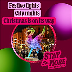 a pink background with a circle in the middle. In the circle is a photo of a the Royal Liver Bird lit up different colours. The text says 'Festive Lights, city nights. Christmas in on its way' The logo is pink and says Stay for More This christmas.