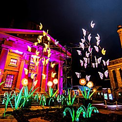 Colourful flowers and butterflies made out of fabric laterns are outside the Martin Luther King Jr building which is bathed in pink light