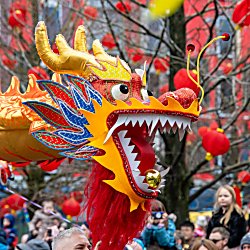 A large puppet of a dragon used in Chinese New Year Celebrations in Liverpool. There is a large crowd in the background and a tree with red lanterns on it.