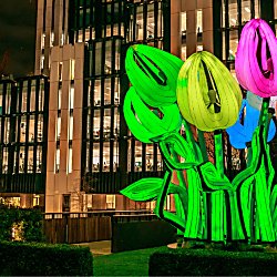 A bunch of tulips lit up in green, yellow, blue, purple and red colours.