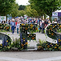 Letters in the shapes S F S which have flowers on them.