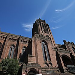 An image of the cathedral with a bright blue sky and a tree at the bottom left of the image.