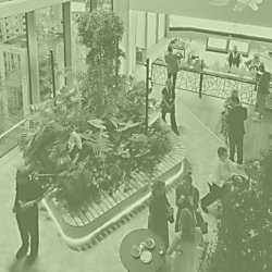 A number of people standing in a sustainable building with flowers and leaves around them. The image has a green wash over it too.