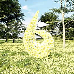 The shape of a six in daffodils in a field filled with more daffodils