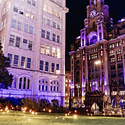 Small fireflies on the grass with the Liver Building in the background.