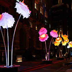 A series of large illuminated flower sculptures line a city street at night, glowing in shades of white, pink, orange and yellow. The towering floral installations are mounted on slender stems and stand against a backdrop of historic buildings and city lights, creating a vibrant outdoor light display.