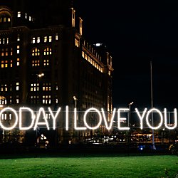 An illuminated light artwork displaying the words “TODAY I LOVE YOU” glows in bright white across a grassy area at night. Historic waterfront buildings and city lights form the backdrop, with the text standing out against the dark sky.