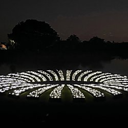 A selection of lights in a circle with a hole in the middle.